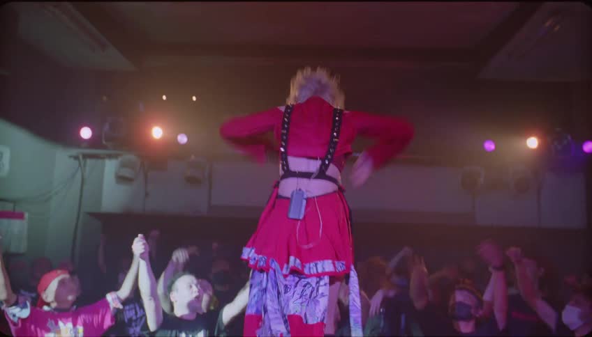 Back view of a singer performing on stage in a concert venue for the audience
