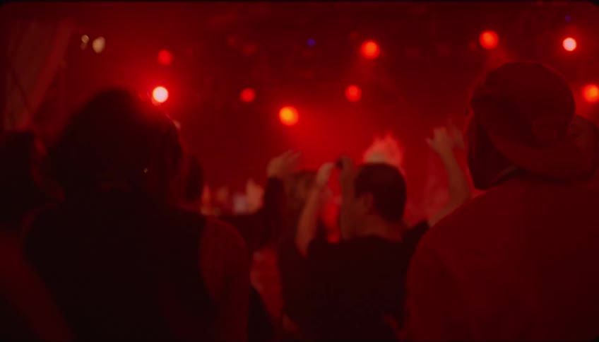 People enjoy a music show in a nightclub