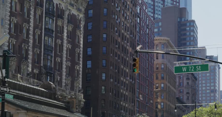 Pigeons flying on the city