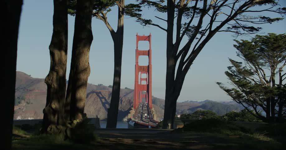 View of a bridge over the sea with vehicles moving
