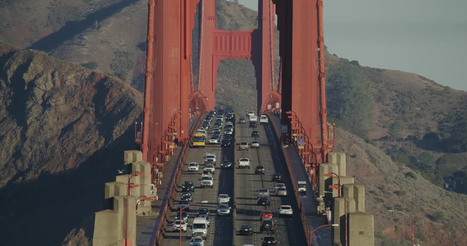 Traffic runs over the bridge as birds fly over