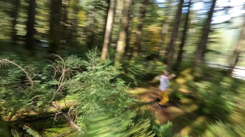 Person dancing in the middle of a forest in daylight