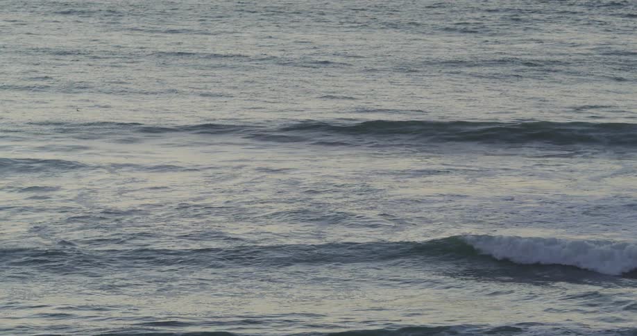 Waves splash and curl as they roll into shore as a seagull flies over the water