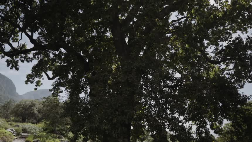 People sit under a tree during the day