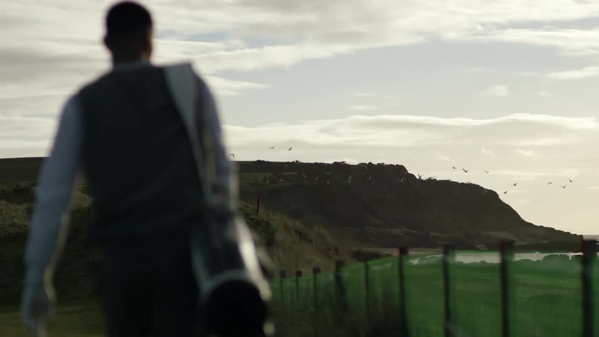 A person walking and in front of hills and birds flying near the beach