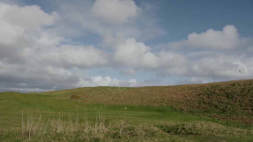 Grass in the hills of a golf course