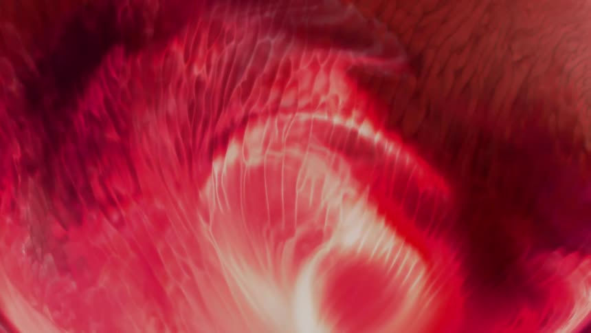 Abstract fluid and neon glowing red background