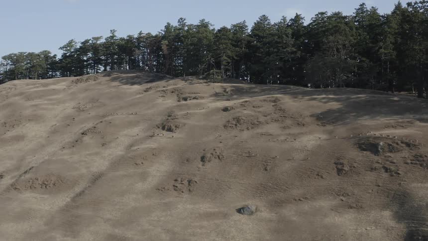 A herd of animals ran across a dirt mountain during the day
