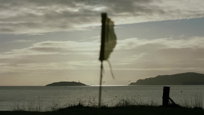 A flag stands tall waving on the coast while a flock of birds soars over the sea in the background