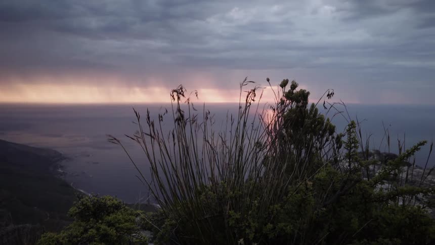 Wind blows the grass and weeds on the top of a cliff by the shore