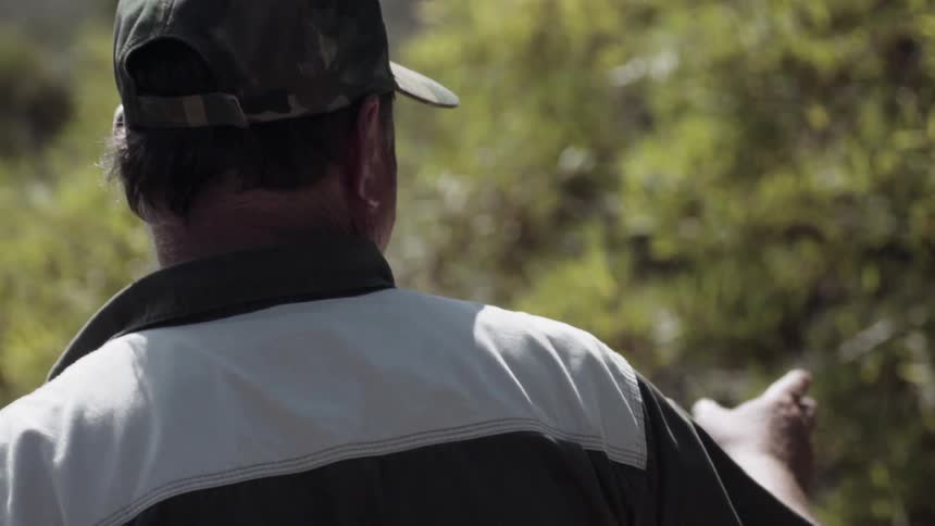 Man with a hat walks in a shrubby area on a sunny day