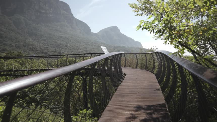 A narrow boardwalk is above the forest near the mountains