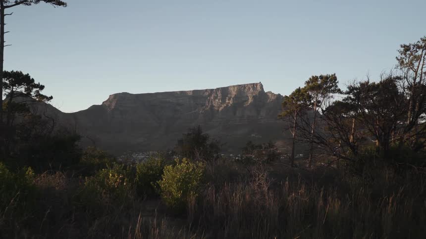 A long field leads to a mountain in the distance