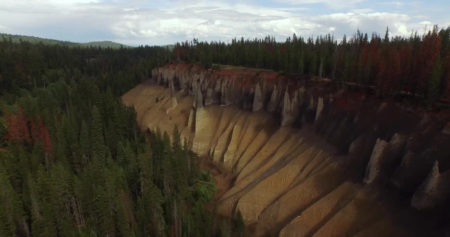 Aerial view of trees and a cliff in the wilderness