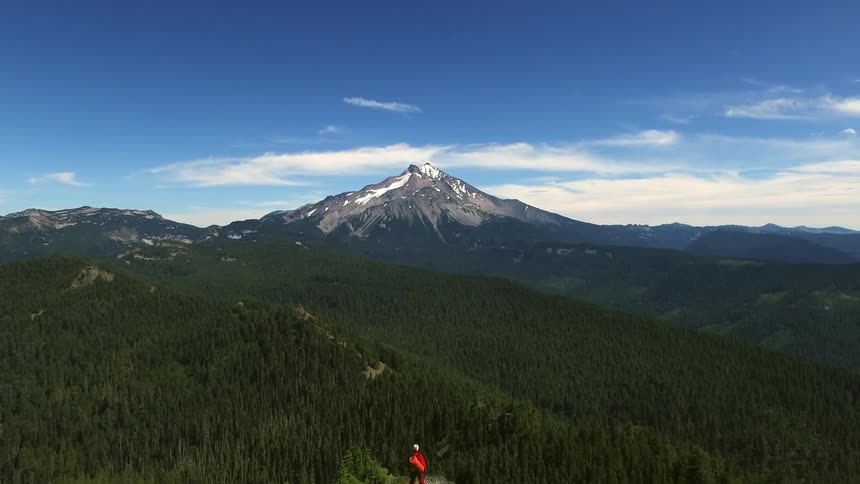 A person stands on a small mountain overlooking a forest