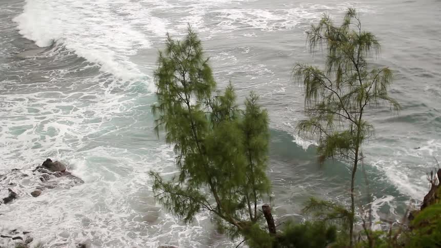 Waves crash onto a rocky shore