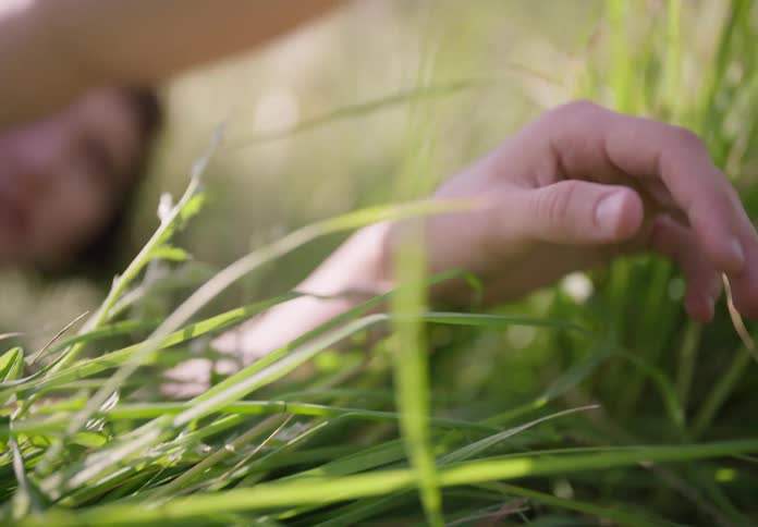 Portrait of a woman lying in a field running her hands over the leaves in the daylight