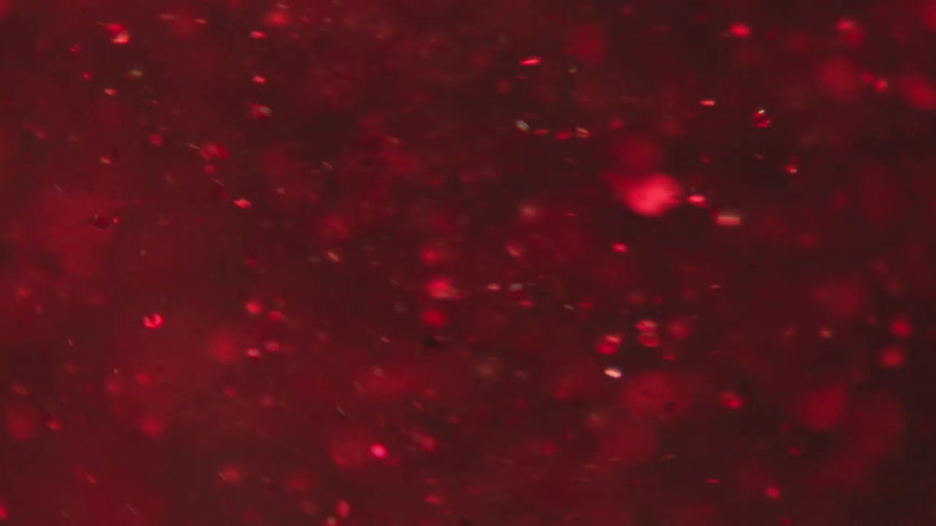 Red sparkly disks floating in a circular direction suspended in liquid