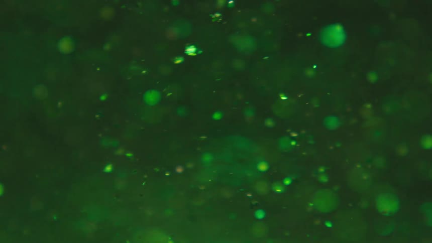 Green glitter disks float in a green liquid in a snow globe type circular motion gradually becoming blurry