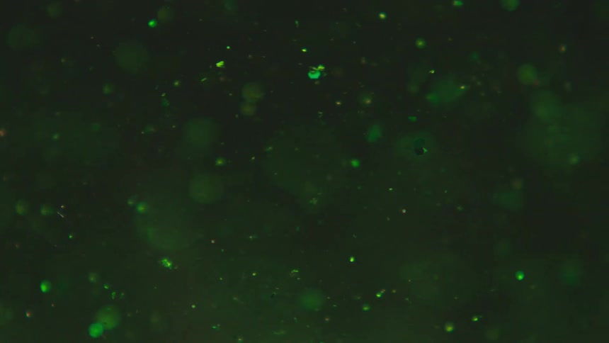Extreme closeup of a green liquid with shining bubbles in slow motion