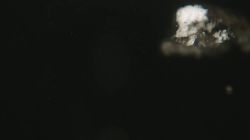 Bubbles rise in the dark water