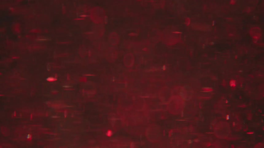 The red liquid is full of bubbles