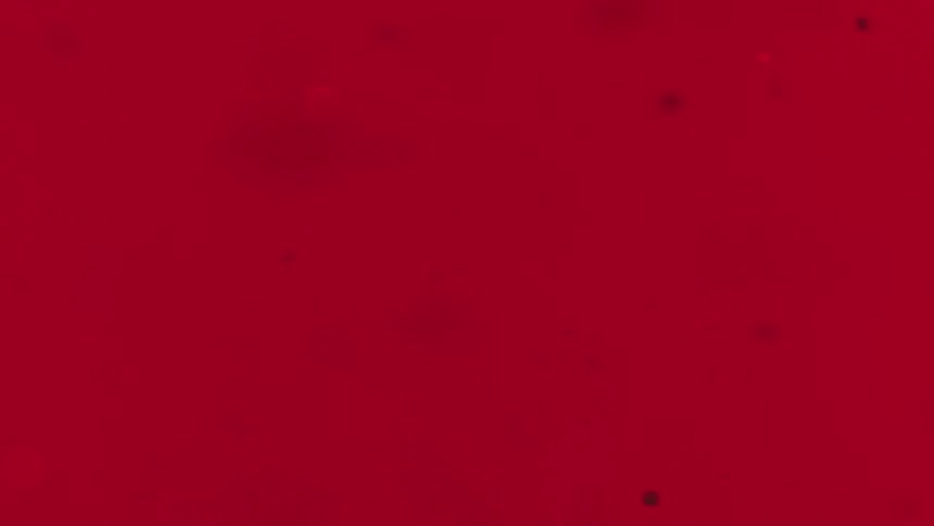 Particles floating on a liquid under red lights