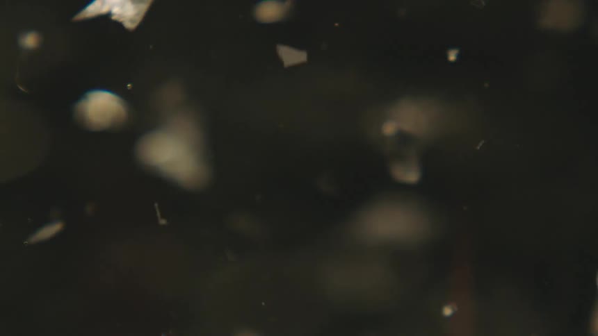 Monochromatic and shiny confetti in slow motion underwater