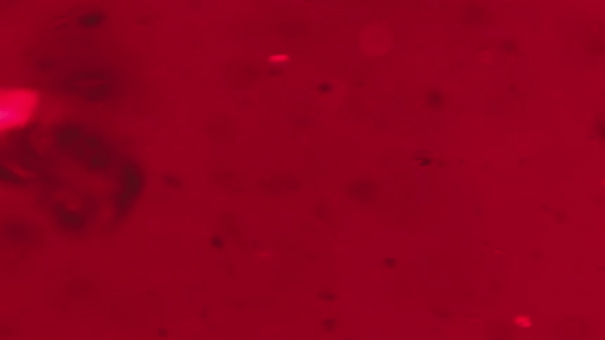 Extreme closeup of a liquid with abstract red sequins in motion