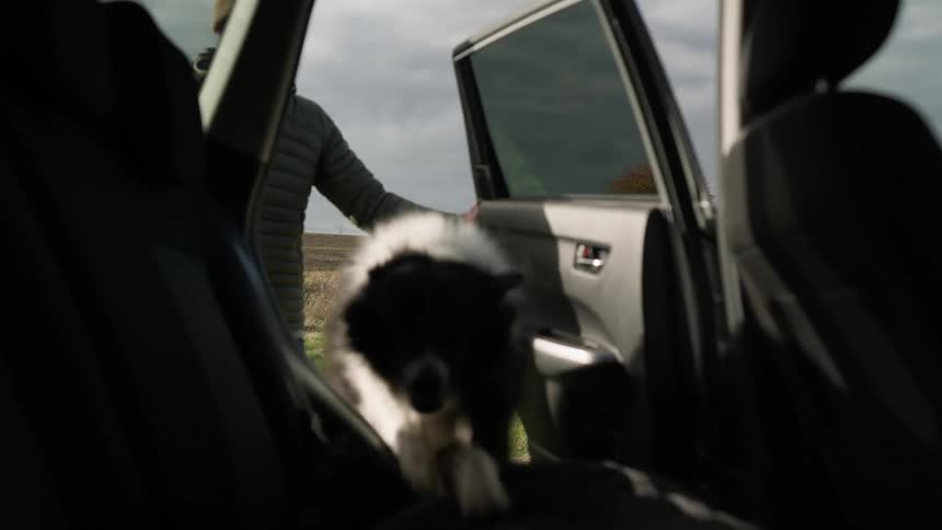 A man stands outside of a car door while his dog jumps into the backseat