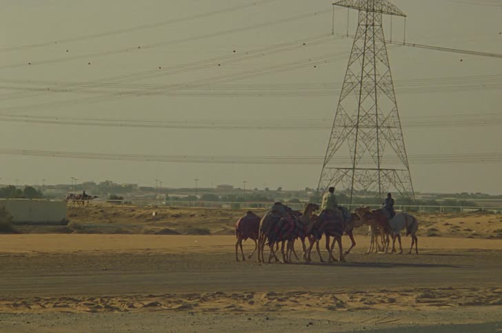 People riding camels on a road next to the desert