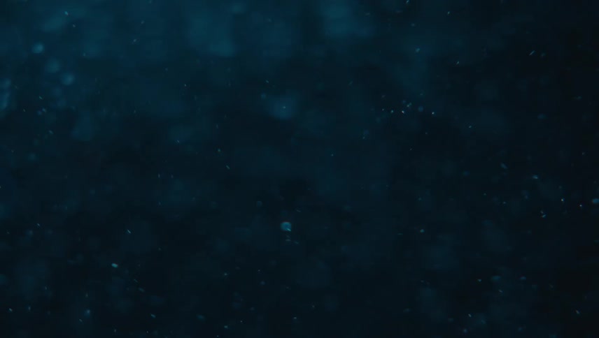 Close up of swirling clear water against a black background