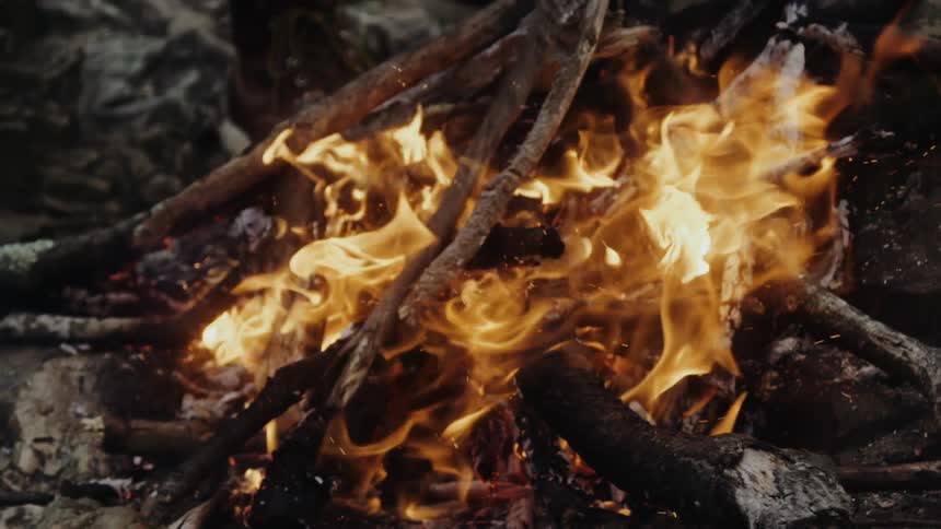 Wood burning in the flames of a campfire