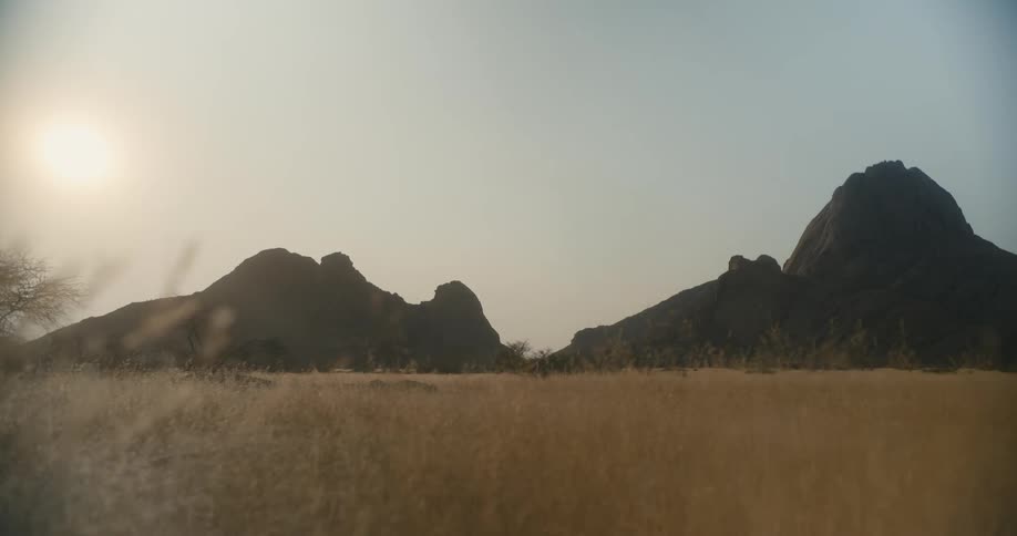 A meadow in a landscape with mountains on a sunny morning