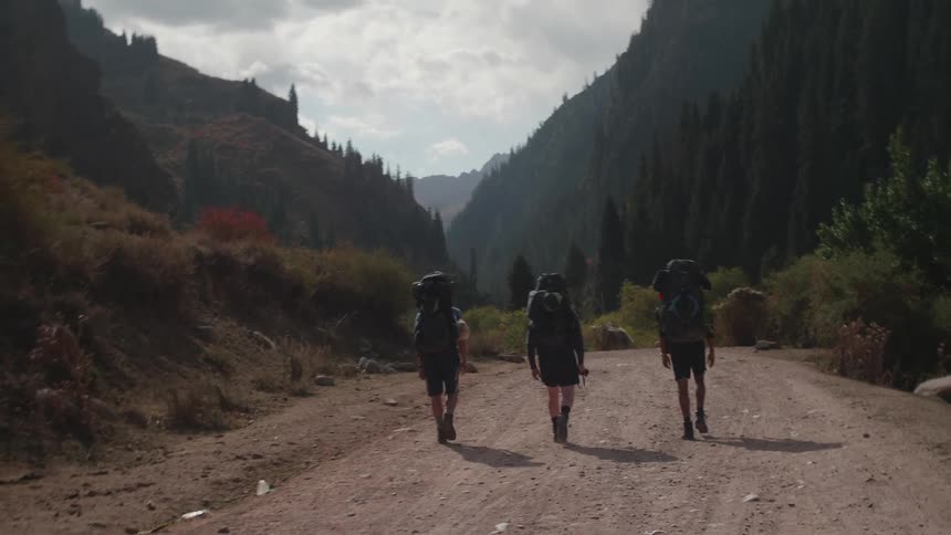 Group of backpackers walk on a road in the mountains
