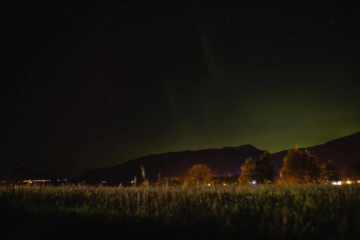View of grass with the night sky featuring the northern lights
