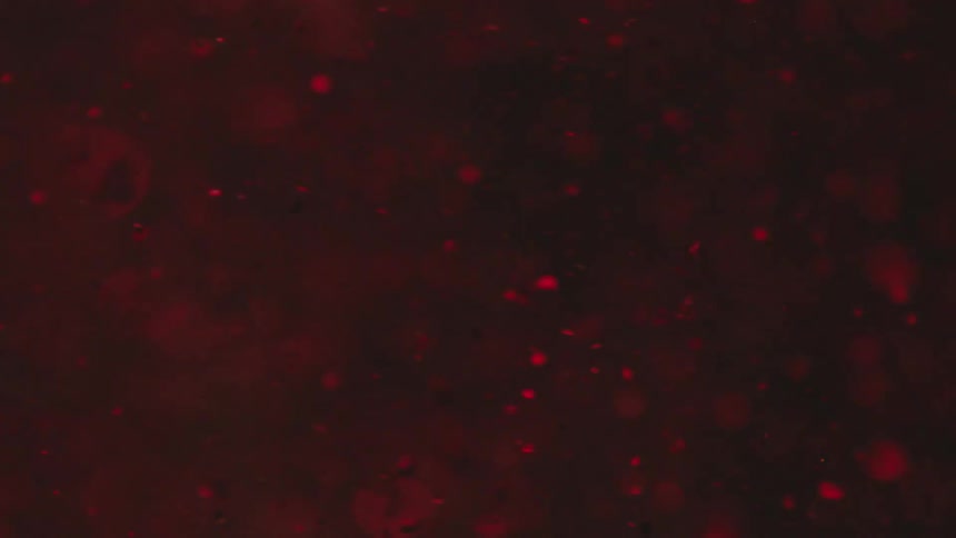 Red particles flowing in water