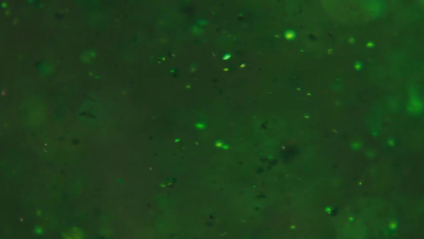 Several green particles are flying up and to the left