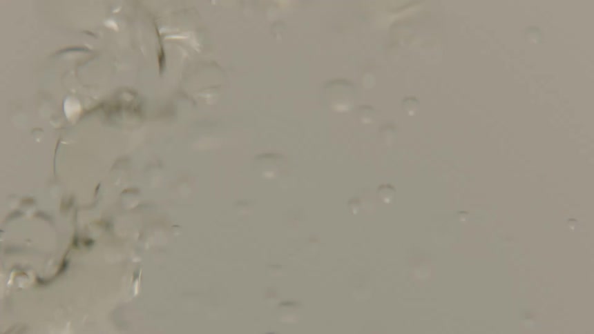 Droplets of oil placed in water rising
