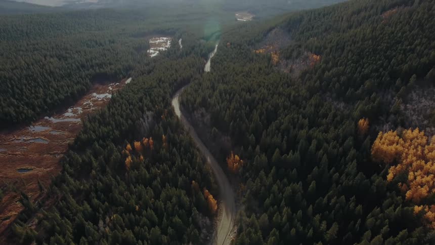 Aerial of a car moving on a road with trees on both sides at daytime