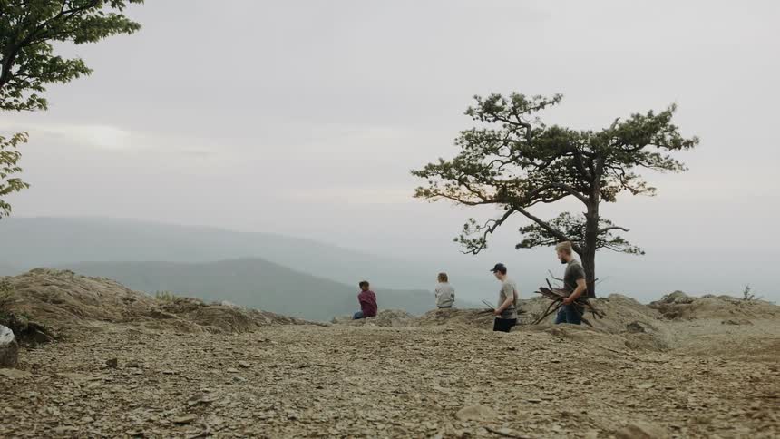 Friends on top of a plain carrying sticks