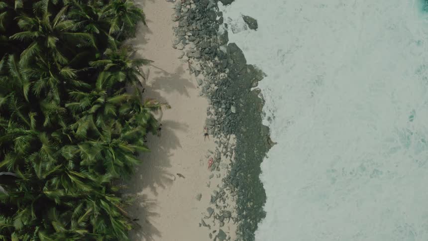 Top view of a beach with palm trees and waves along the shore