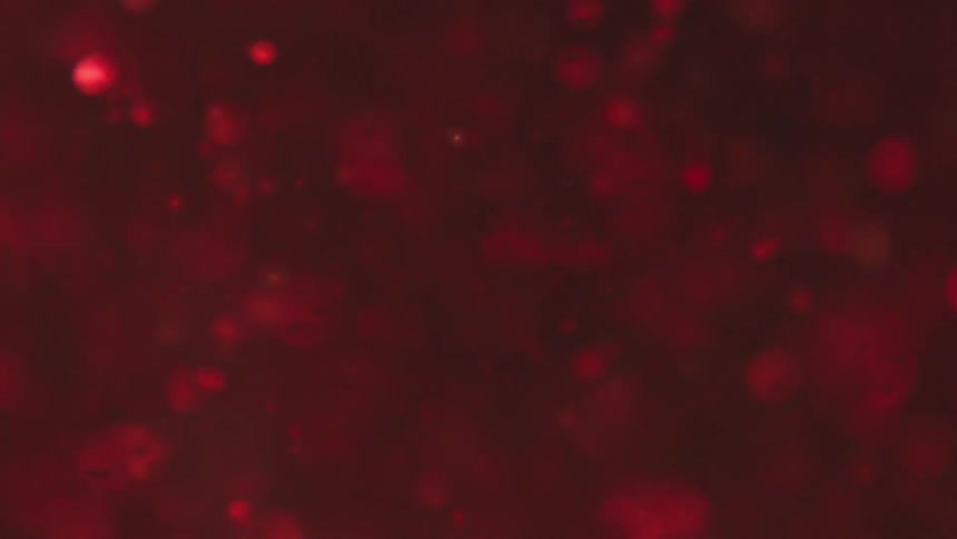 Close up of particles floating in water under red lights