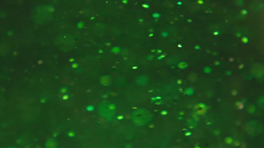 Water with sparkling green sequins in slowmotion rotation