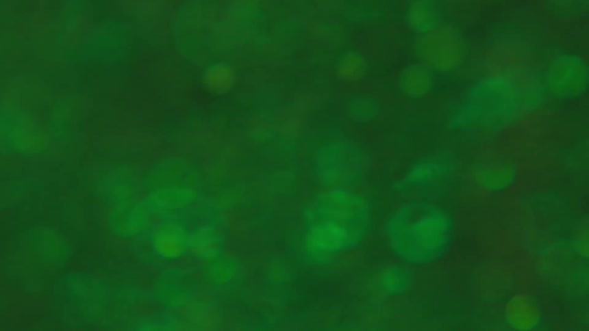 Green shimmering particles floating in liquid