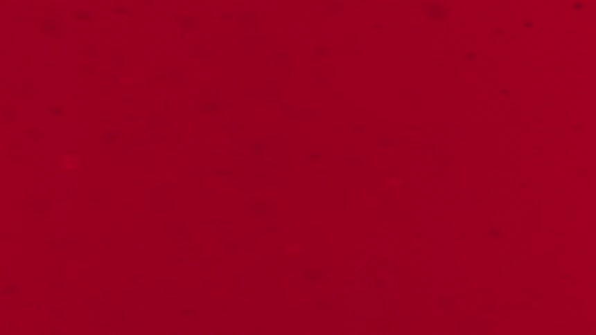 Red particles floating in water