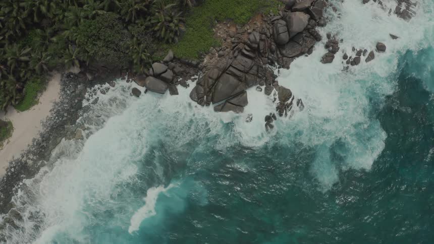 Aerial panorama of a beach with palm trees in slow motion
