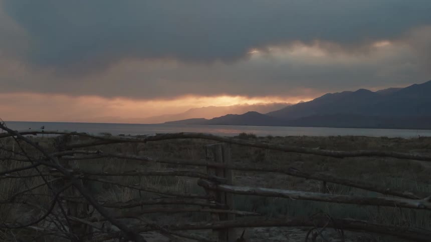 A makeshift wooden fence in front of a grassy field