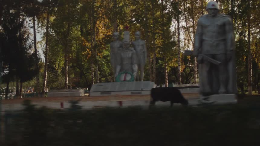 Cow in the midst of a field with statues