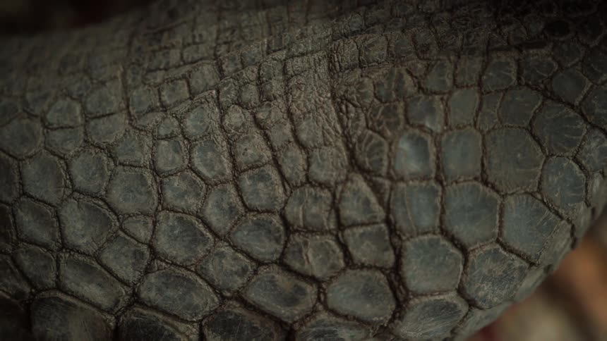 A dark hull with geometric shapes